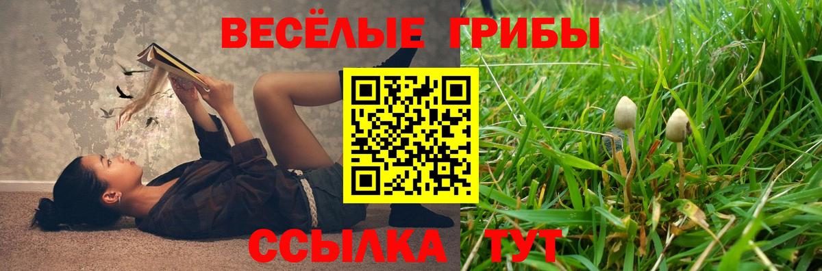 Россошь  Галлюциногенные грибы Psilocybe  Галлюциногенные грибы прущие грибы  Вход с VPN 